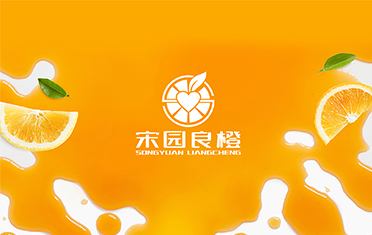 某良橙——淮南LOGO设计
