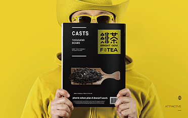 淮南绯茶品牌设计